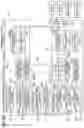 Fig. 06 - AUTOMOBILE ARITHMETIC OPERATION DEVICE