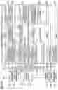 Fig. 07 - COMPUTING SYSTEM FOR AUTOMOBILE AND PROCESSING METHOD FOR RECEPTION DATA