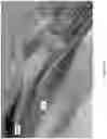 Fig. 20 - WAKE ENHANCING BOAT HULL