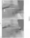 Fig. 22 - WAKE ENHANCING BOAT HULL