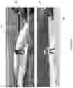 Fig. 24 - WAKE ENHANCING BOAT HULL