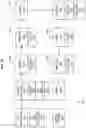Fig. 35 - Assembly line fabrication and assembly of aircraft wings