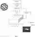 Fig. 02 - Method of fabricating a two dimensional membrane with periodic nanopores