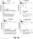 Fig. 06 - Identification and optimization of carbon radicals on hydrated graphene oxide for ubiquitous antibacterial coatings