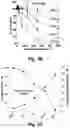 Fig. 07 - Identification and optimization of carbon radicals on hydrated graphene oxide for ubiquitous antibacterial coatings