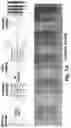 Fig. 16 - Identification and optimization of carbon radicals on hydrated graphene oxide for ubiquitous antibacterial coatings