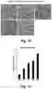 Fig. 17 - Identification and optimization of carbon radicals on hydrated graphene oxide for ubiquitous antibacterial coatings