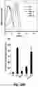 Fig. 34 - Identification and optimization of carbon radicals on hydrated graphene oxide for ubiquitous antibacterial coatings
