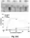 Fig. 35 - Identification and optimization of carbon radicals on hydrated graphene oxide for ubiquitous antibacterial coatings