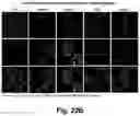 Fig. 40 - Identification and optimization of carbon radicals on hydrated graphene oxide for ubiquitous antibacterial coatings
