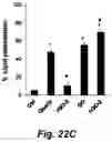 Fig. 41 - Identification and optimization of carbon radicals on hydrated graphene oxide for ubiquitous antibacterial coatings