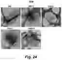 Fig. 46 - Identification and optimization of carbon radicals on hydrated graphene oxide for ubiquitous antibacterial coatings