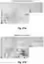 Fig. 49 - Identification and optimization of carbon radicals on hydrated graphene oxide for ubiquitous antibacterial coatings