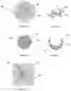 Fig. 02 - Silicon material and method of manufacture