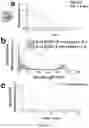 Fig. 35 - FUNCTIONALIZED SILICA NANORINGS, METHODS OF MAKING SAME, AND USES THEREOF
