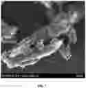 Fig. 07 - Hollow porous silicon-containing structures and method of formation