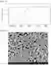 Fig. 02 - CALCIUM CARBONATE SINTERED BODY AND METHOD FOR PRODUCING SAME, AND BONE GRAFTING MATERIAL