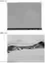 Fig. 04 - CALCIUM CARBONATE SINTERED BODY AND METHOD FOR PRODUCING SAME, AND BONE GRAFTING MATERIAL