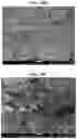 Fig. 15 - Carbonation of reactive magnesia cement (RMC)-based systems