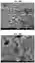 Fig. 16 - Carbonation of reactive magnesia cement (RMC)-based systems