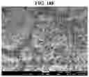 Fig. 17 - Carbonation of reactive magnesia cement (RMC)-based systems