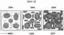 Fig. 25 - Carbonation of reactive magnesia cement (RMC)-based systems