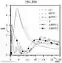 Fig. 29 - Carbonation of reactive magnesia cement (RMC)-based systems
