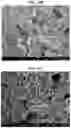 Fig. 33 - Carbonation of reactive magnesia cement (RMC)-based systems
