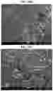 Fig. 34 - Carbonation of reactive magnesia cement (RMC)-based systems