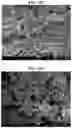 Fig. 35 - Carbonation of reactive magnesia cement (RMC)-based systems
