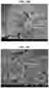 Fig. 36 - Carbonation of reactive magnesia cement (RMC)-based systems