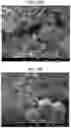 Fig. 37 - Carbonation of reactive magnesia cement (RMC)-based systems