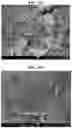 Fig. 38 - Carbonation of reactive magnesia cement (RMC)-based systems