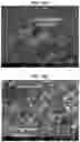 Fig. 40 - Carbonation of reactive magnesia cement (RMC)-based systems
