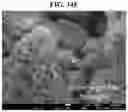Fig. 41 - Carbonation of reactive magnesia cement (RMC)-based systems