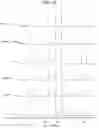 Fig. 42 - Carbonation of reactive magnesia cement (RMC)-based systems