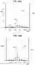Fig. 45 - Carbonation of reactive magnesia cement (RMC)-based systems