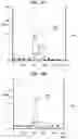 Fig. 49 - Carbonation of reactive magnesia cement (RMC)-based systems