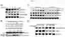 Fig. 02 - Small molecule AMPK activators