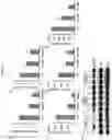 Fig. 07 - Small molecule AMPK activators