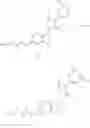 Fig. 243 - Peripheral alkyl and alkenyl chains extended benzene derivatives and pharmaceutical composition including the same