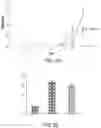 Fig. 26 - Isoquinoline compounds and their use in treating AhR imbalance