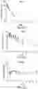 Fig. 37 - Isoquinoline compounds and their use in treating AhR imbalance