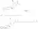 Fig. 216 - CDK2/5 DEGRADERS AND USES THEREOF