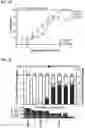 Fig. 07 - IRE1α inhibitors and uses thereof