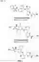 Fig. 49 - IRE1α inhibitors and uses thereof