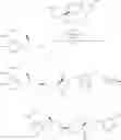 Fig. 29 - Substituted tetrahydropyrans as CCR2 modulators