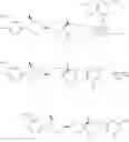 Fig. 43 - Substituted tetrahydropyrans as CCR2 modulators