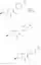 Fig. 257 - NMDA receptor modulators and uses thereof
