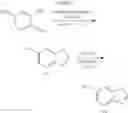 Fig. 27 - Anti-infective compounds